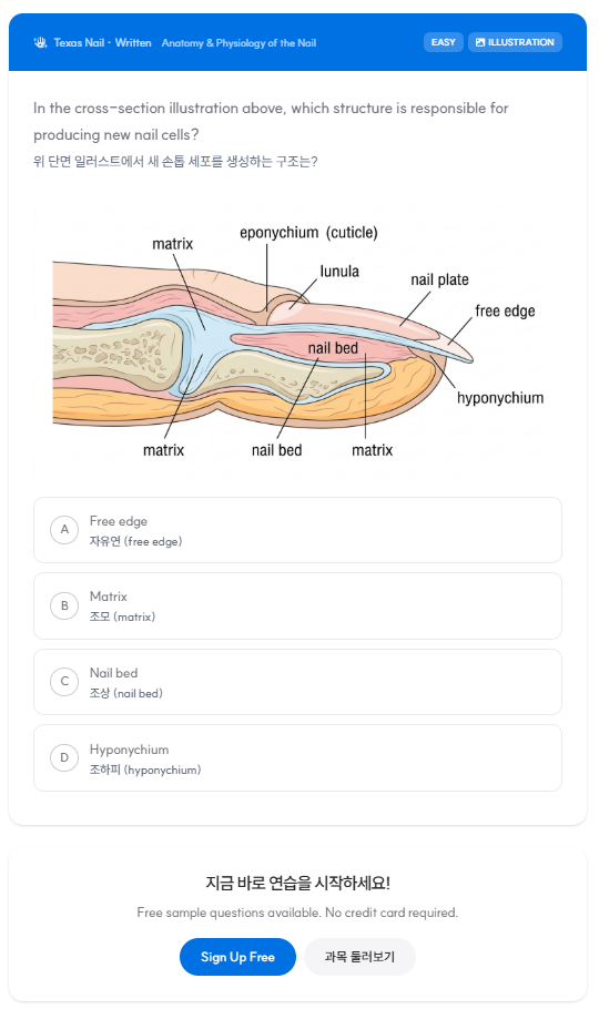 Sample bilingual quiz preview