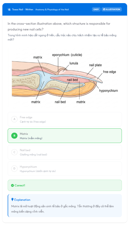 Sample bilingual quiz preview